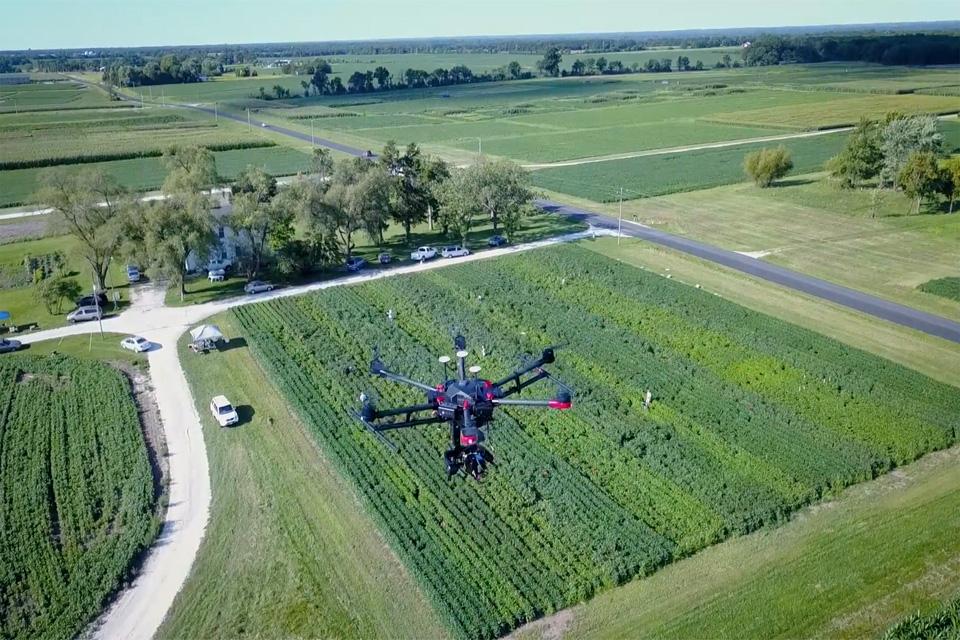Drone monitoring crops